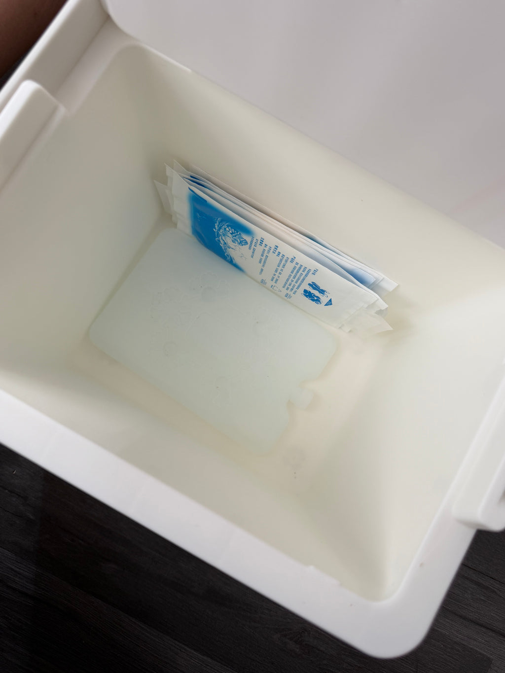 6L Food Grade Cooler Box Green/White for Indoor/Outdoor, Modern Style