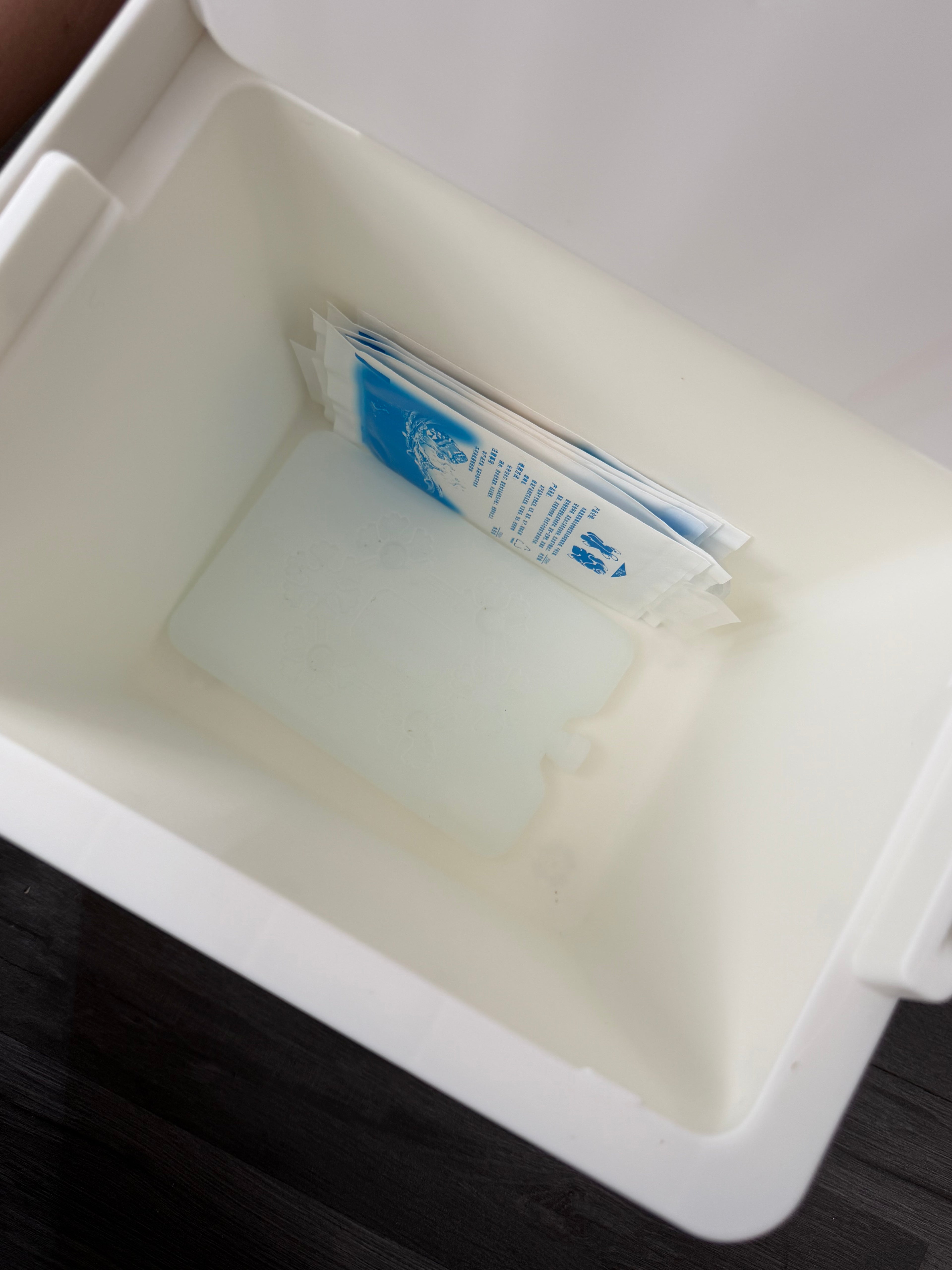 6L Food Grade Cooler Box Green/White for Indoor/Outdoor, Modern Style